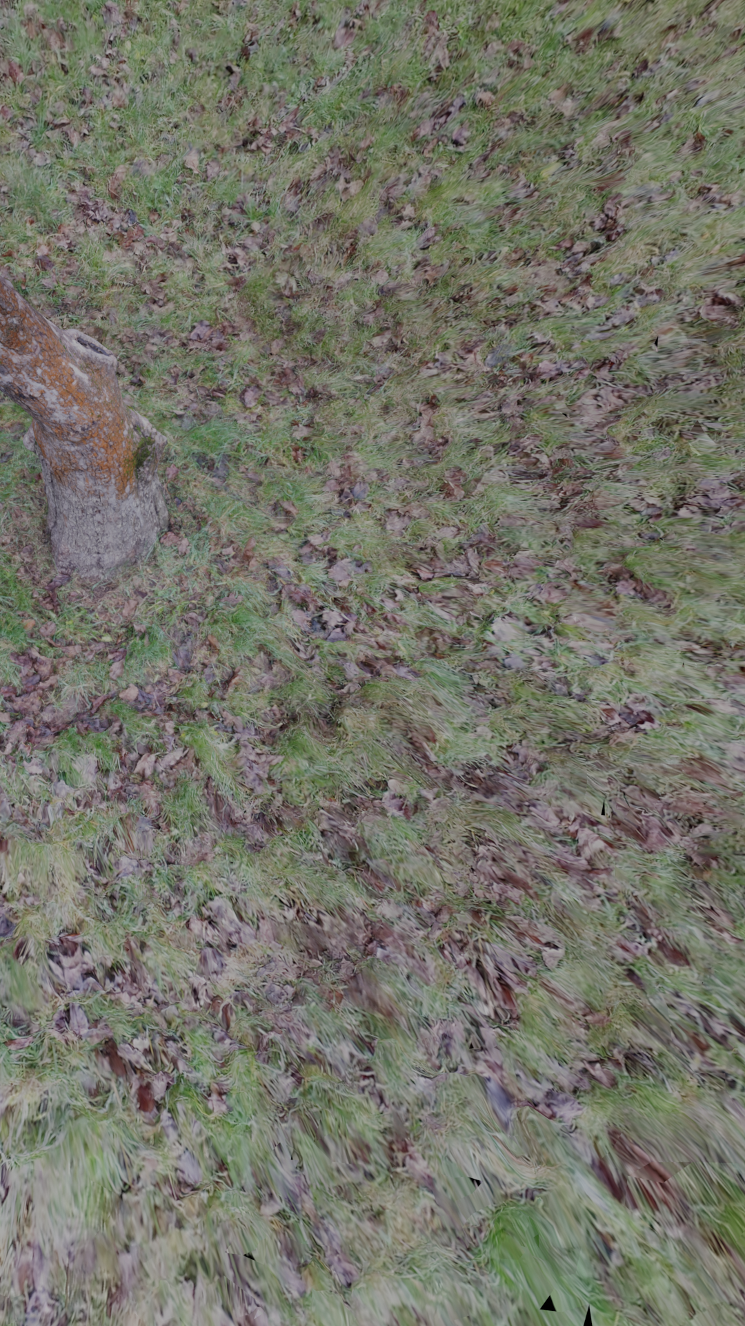 tree trunk and grass - 3d scan preview image 2